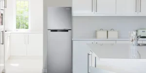 삼성전자 2도어 일반형 냉장고 255L (RT25NARAHS8)